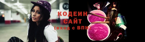 соль ск Кукмор