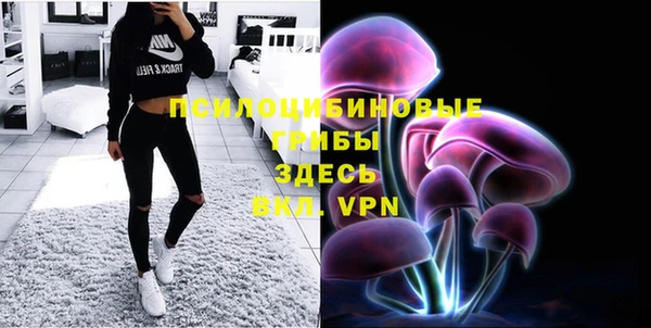 mdpv Куйбышев