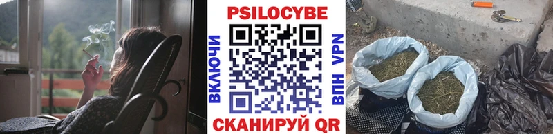 где продают наркотики  Суздаль  Псилоцибиновые грибы Psilocybe 